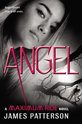 Könyv Angel James Patterson