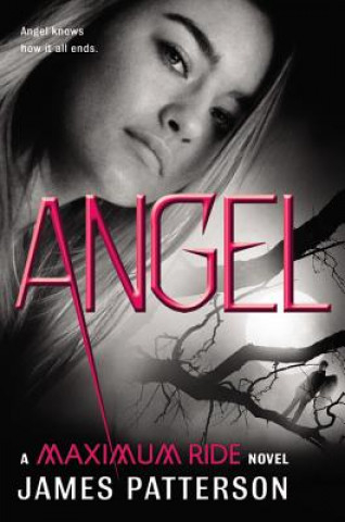 Kniha Angel James Patterson