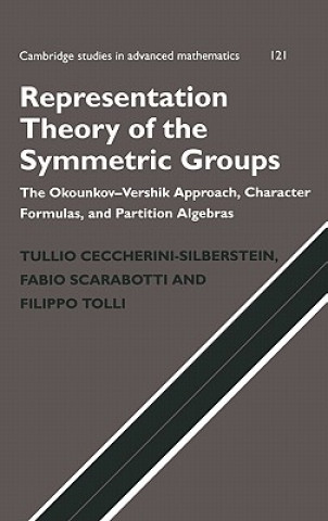 Könyv Representation Theory of the Symmetric Groups Tullio Ceccherini-Silberstein