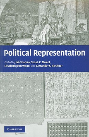 Könyv Political Representation Ian Shapiro