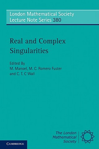 Book Real and Complex Singularities M Manoel