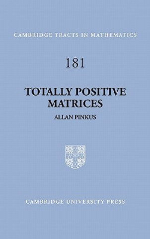 Kniha Totally Positive Matrices Allan Pinkus