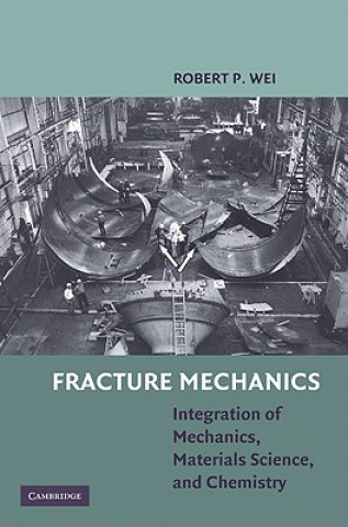 Könyv Fracture Mechanics Robert P Wei