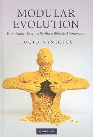 Book Modular Evolution Lucio Vinicius
