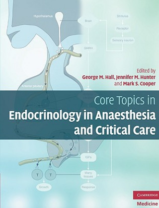 Kniha Core Topics in Endocrinology in Anaesthesia and Critical Care George M Hall