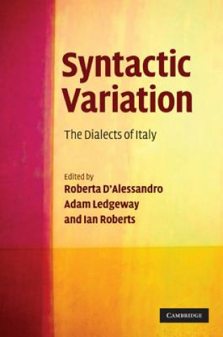 Könyv Syntactic Variation Roberta D´Alessandro