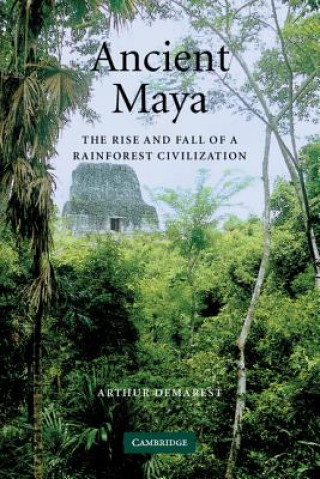 Carte Ancient Maya Arthur Demarest
