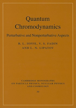 Knjiga Quantum Chromodynamics B L Ioffe