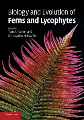 Carte Biology and Evolution of Ferns and Lycophytes Tom A Ranker
