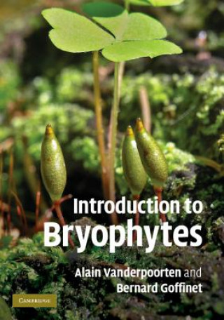 Kniha Introduction to Bryophytes Alain Vanderpoorten