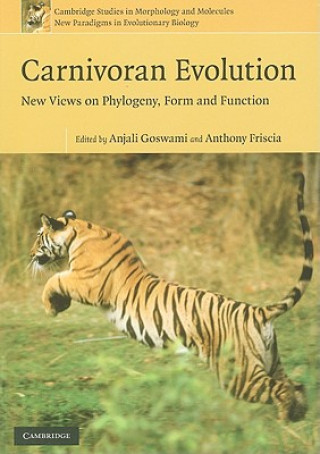Könyv Carnivoran Evolution Anjali Goswami
