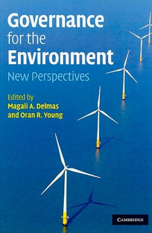 Libro Governance for the Environment Magali A Delmas