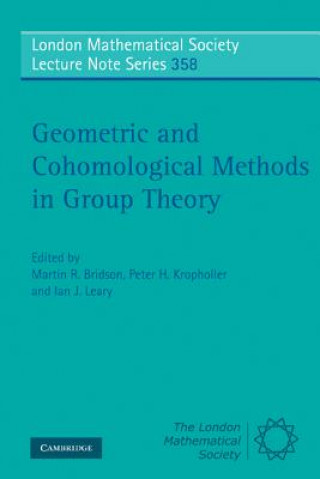 Kniha Geometric and Cohomological Methods in Group Theory Martin R Bridson
