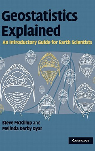 Kniha Geostatistics Explained Steve McKillup