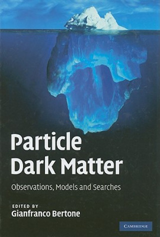 Buch Particle Dark Matter Gianfranco Bertone
