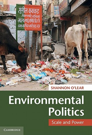 Книга Environmental Politics Shannon O´Lear