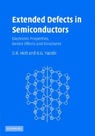 Buch Extended Defects in Semiconductors D B Holt