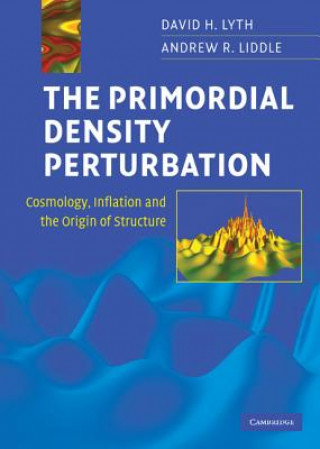 Könyv Primordial Density Perturbation David H Lyth