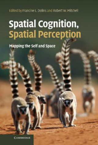 Könyv Spatial Cognition, Spatial Perception Francine L Dolins