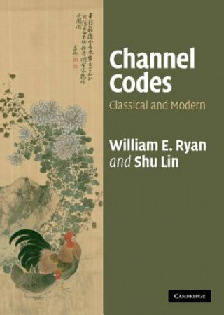 Könyv Channel Codes William E Ryan