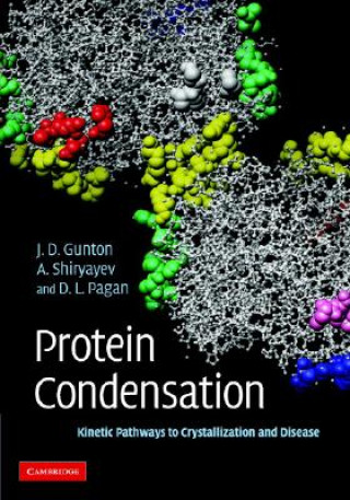 Kniha Protein Condensation James D Gunton