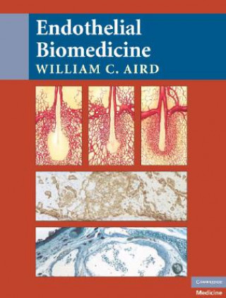 Книга Endothelial Biomedicine William C Aird