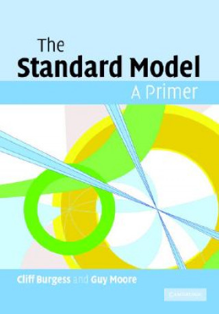 Kniha Standard Model Cliff Burgess
