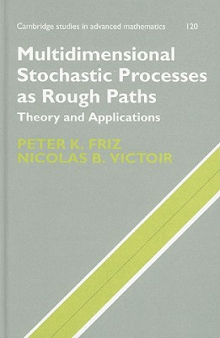 Kniha Multidimensional Stochastic Processes as Rough Paths Peter K Friz