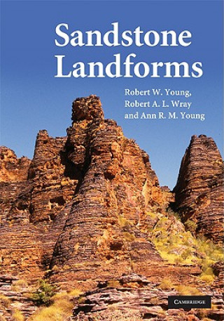 Kniha Sandstone Landforms Robert W Young