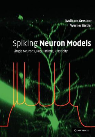 Książka Spiking Neuron Models Wulfram Gerstner