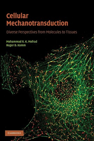 Buch Cellular Mechanotransduction Mohammad R K Mofrad