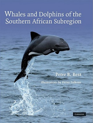 Knjiga Whales and Dolphins of the Southern African Subregion Peter B Best