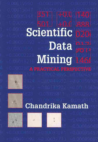 Kniha Scientific Data Mining Chandrika Kamath