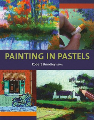 Книга Painting in Pastels Robert Brindley