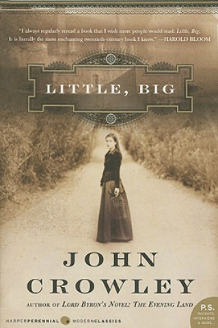 Книга Little, Big John Crowley