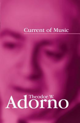 Könyv Current of Music - Elements of a Radio Theory Adorno