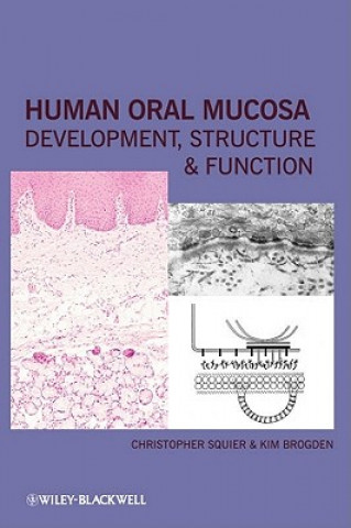 Buch Human Oral Mucosa Squier