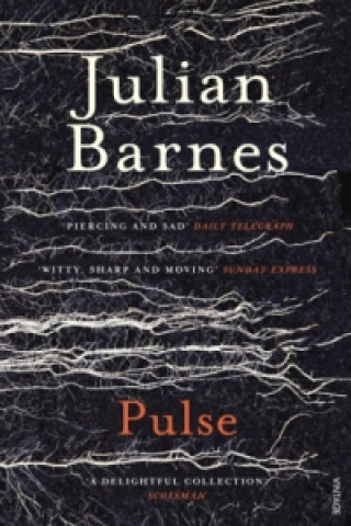 Kniha Pulse Julian Barnes