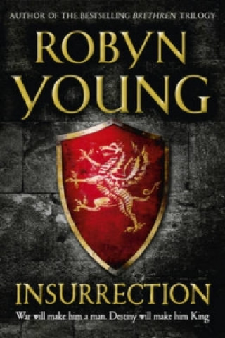 Könyv Insurrection Robyn Young