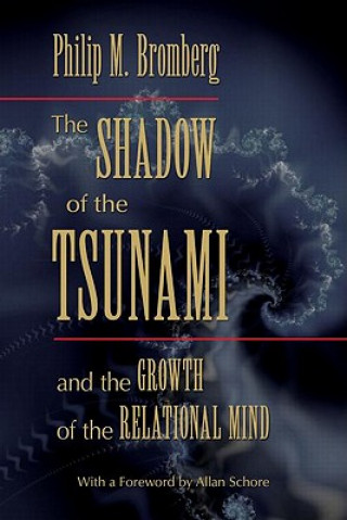 Kniha Shadow of the Tsunami Philip M Bromberg