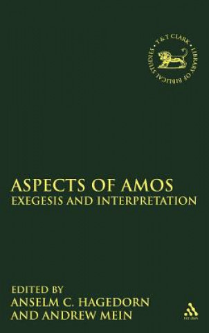 Kniha Aspects of Amos Anselm Hagedorn