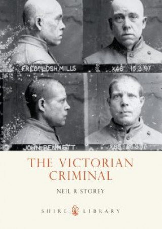 Kniha Victorian Criminal Neil Storey