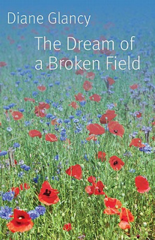 Buch Dream of a Broken Field Diane Glancy