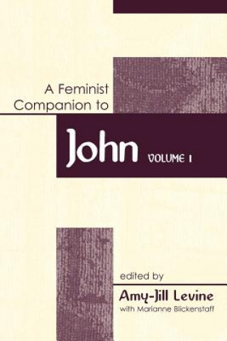 Kniha Feminist Companion to John Amy-Jill Levine