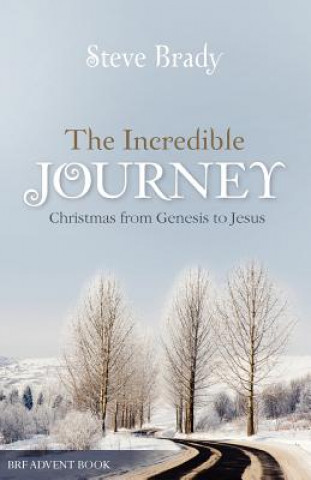 Kniha Incredible Journey Steve Brady