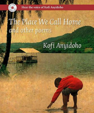 Buch Place We Call Home Kofi Anyidoho