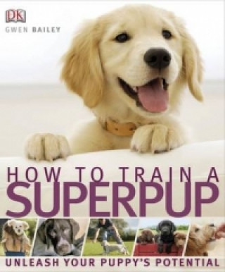 Kniha How to Train a Superpup Gwen Bailey