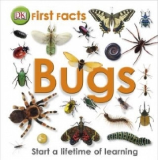 Carte First Facts Bugs DK