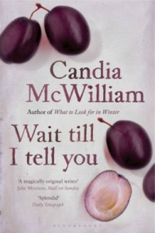 Knjiga Wait Till I Tell You Candia McWilliam
