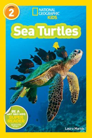 Książka National Geographic Kids Readers: Sea Turtles Laura Marsh